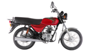 bajaj moto BOXER 100 SPOKE